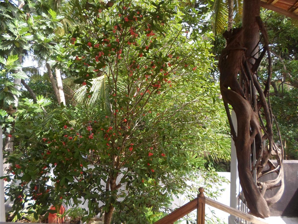 Heritage Villa Hikkaduwa Esterno foto