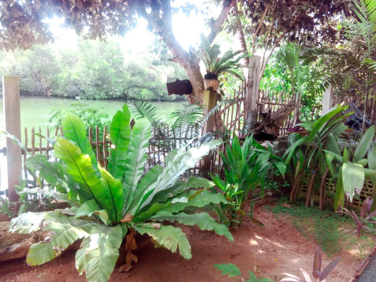 Heritage Villa Hikkaduwa Esterno foto