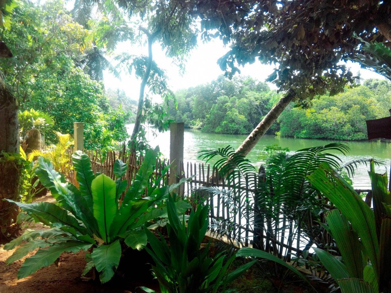 Heritage Villa Hikkaduwa Esterno foto